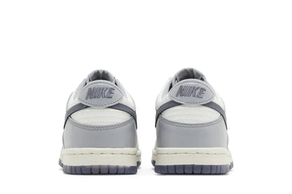 Nike Dunk Low Light Carbon Gray
